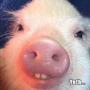 ***DO NOT BUY! RESERVED***